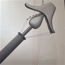 經(jīng)導(dǎo)管二尖瓣夾系統(tǒng)導(dǎo)引鞘:GS24800