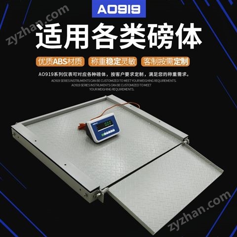 海鮮廠不銹鋼耐腐蝕平臺(tái)秤防帶斜坡地磅