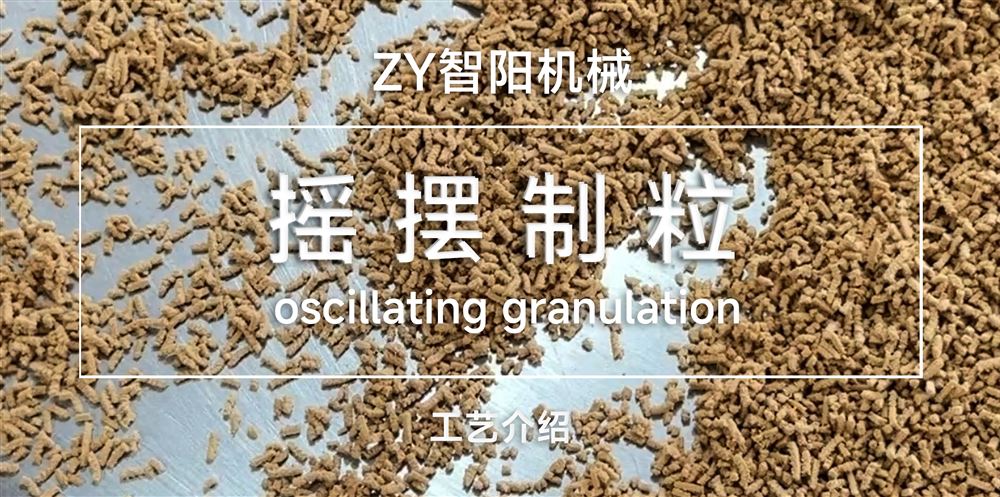 搖擺制粒工藝介紹