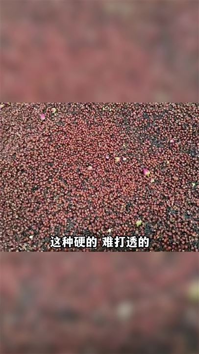 代餐粉无尘超微粉碎机组