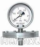 YDJ膜片壓力表 江蘇膜片壓力表廠家