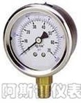 不銹鋼壓力表 江蘇不銹鋼壓力表廠家