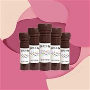 AF546膜聯(lián)蛋白V