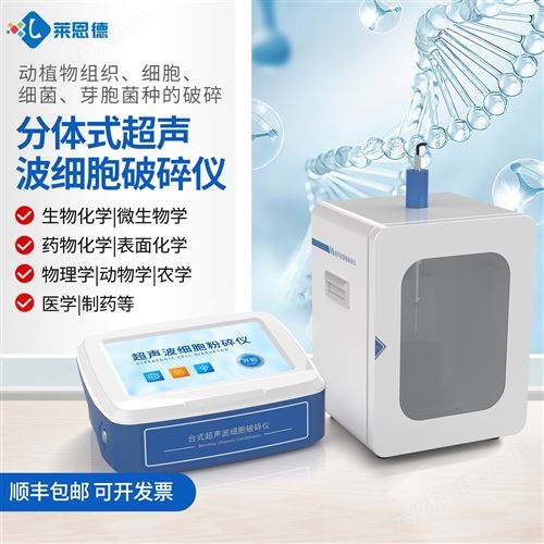 ����������ϸ��������