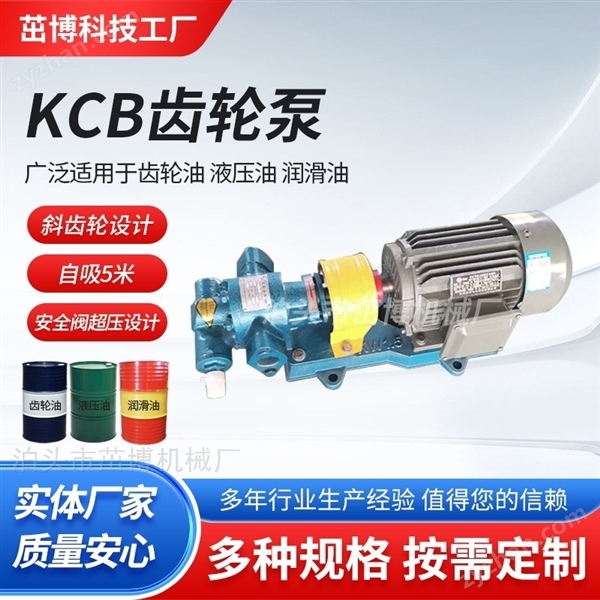 江蘇輸油KCB型齒輪泵、江西九江潤(rùn)滑齒輪泵圖片