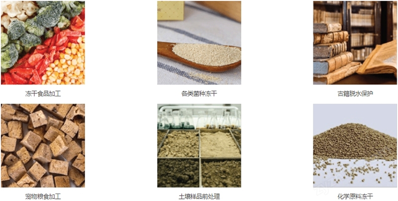 中試型圓倉方管硅油加熱原位凍干機